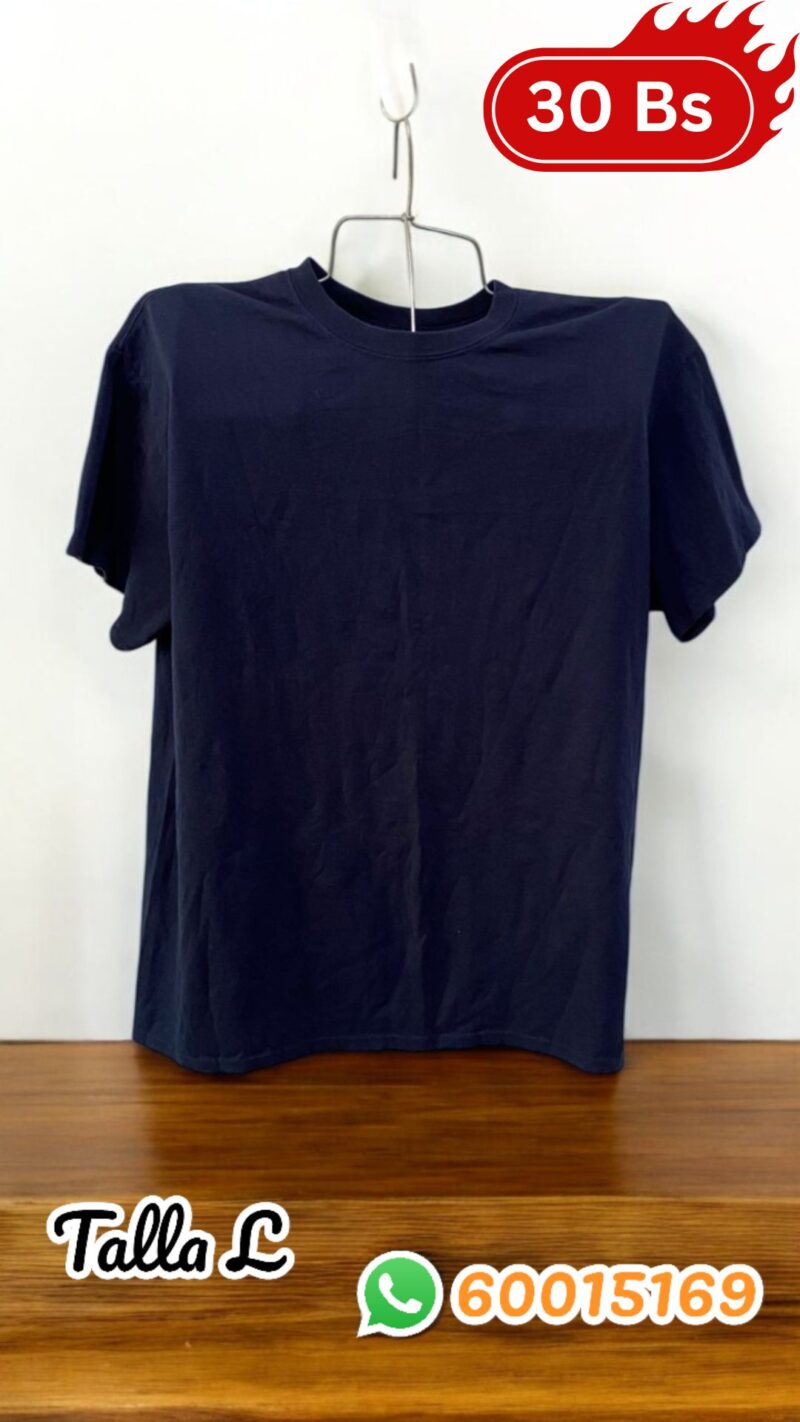 POLERAS DE HOMBRE TALLA L